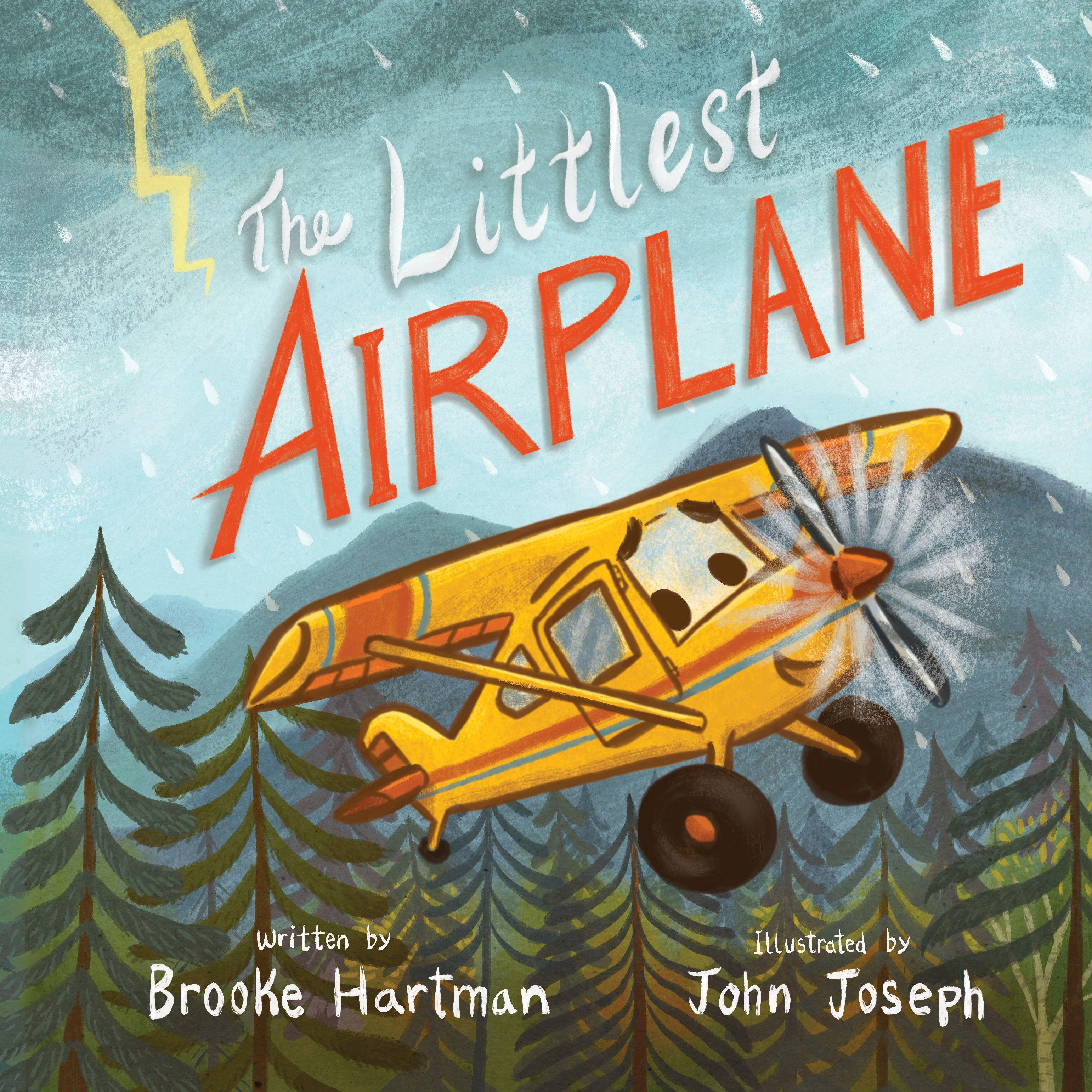 Vorderes Coverbild The Littlest Airplane