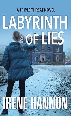 Vorderes Coverbild Labyrinth of Lies