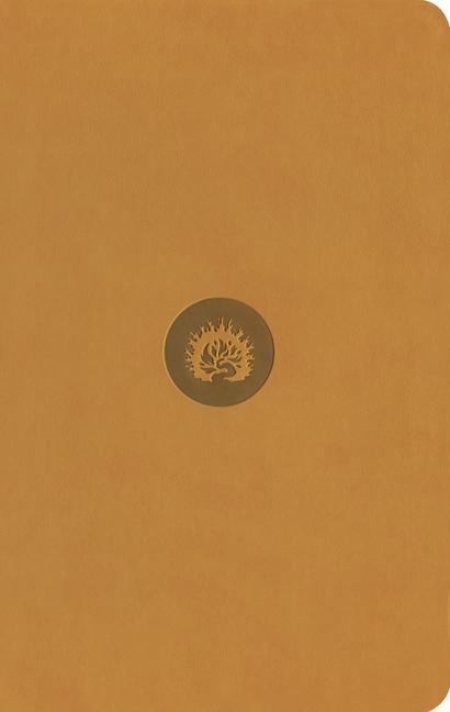 Vorderes Coverbild ESV Reformation Study Bible, Student Edition - Marigold, Leather-Like