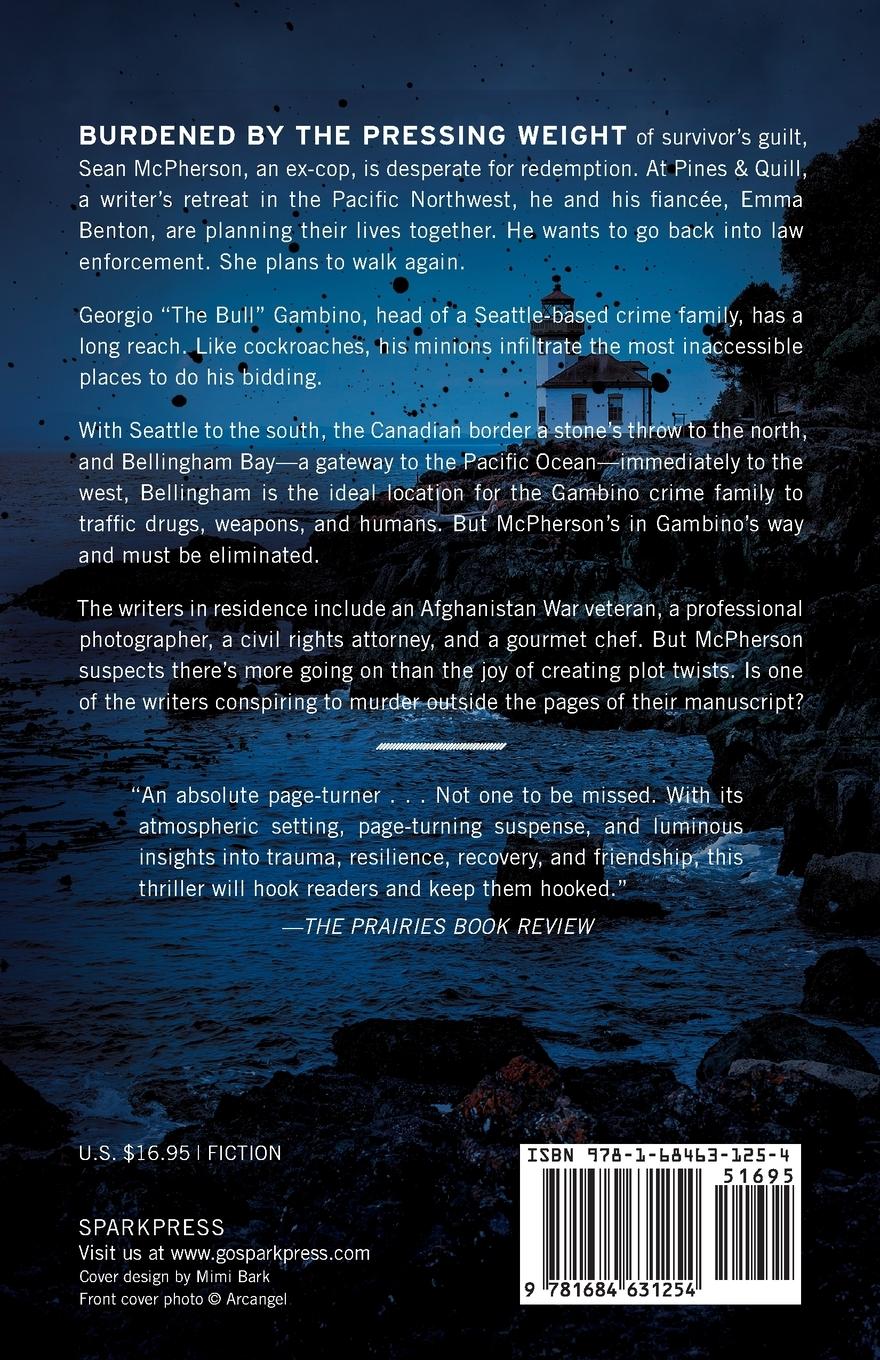 Rückseitencover Iconoclast