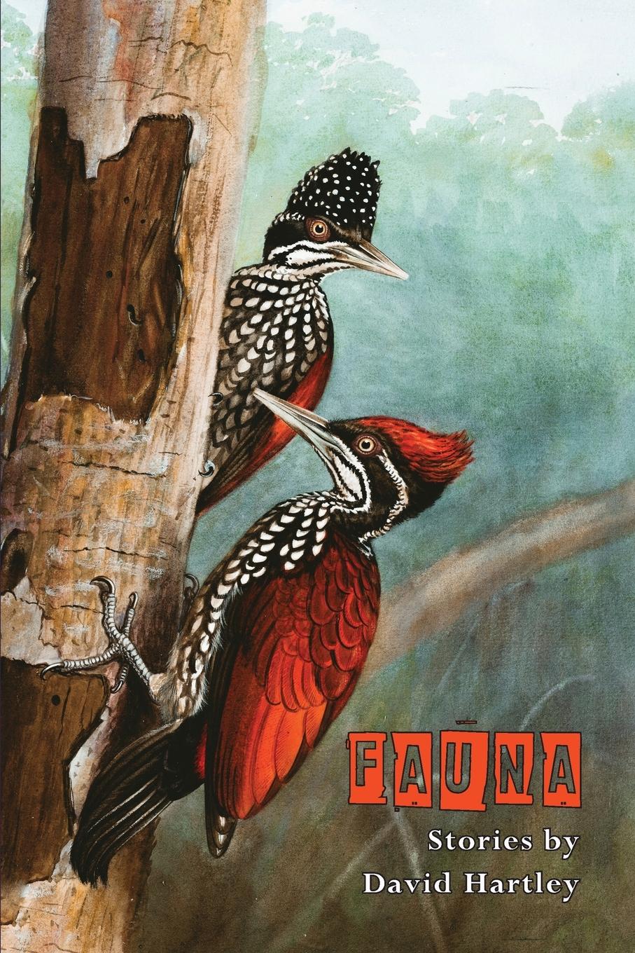 Vorderes Coverbild Fauna