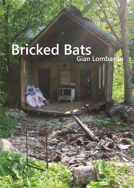 Vorderes Coverbild Bricked Bats