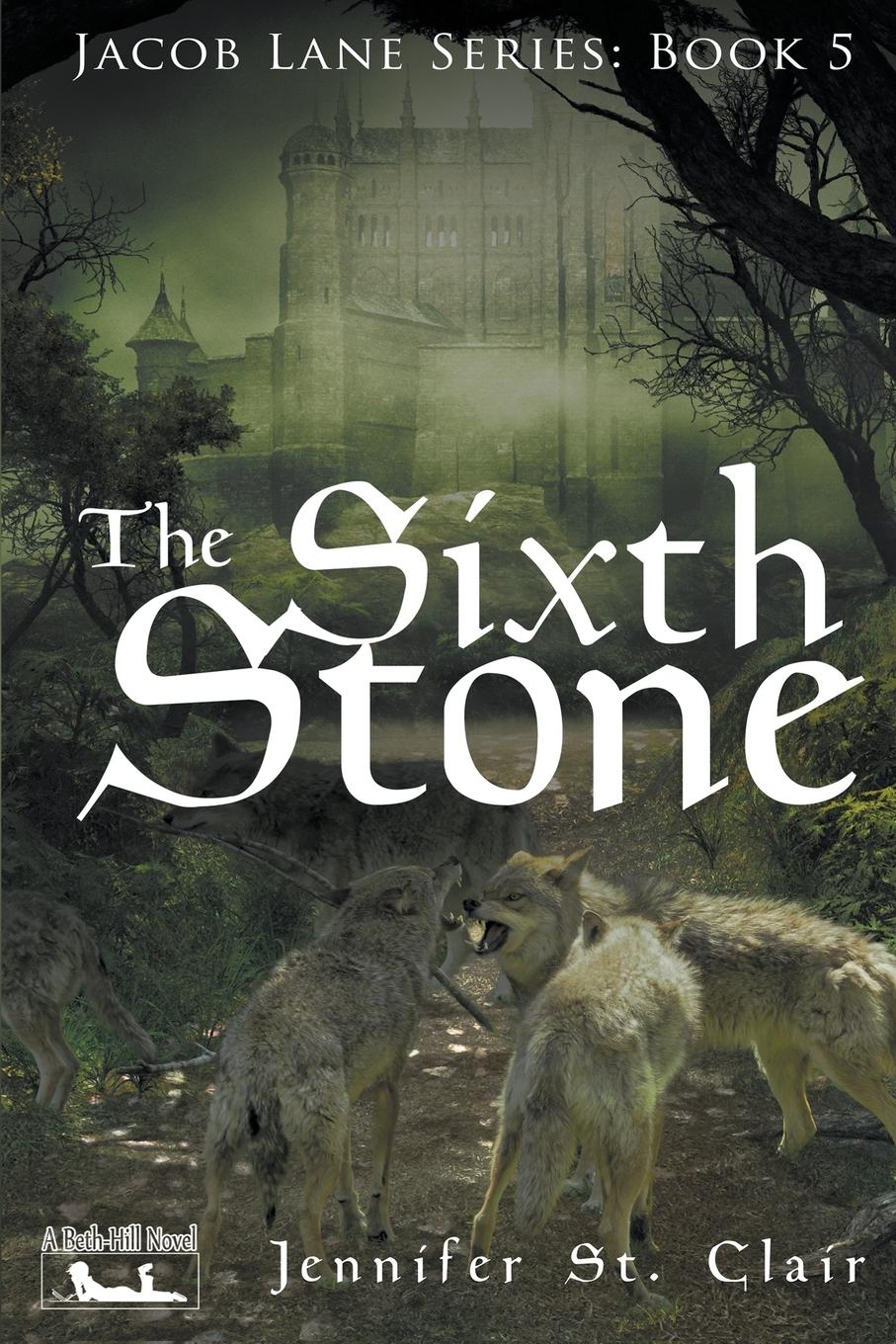 Vorderes Coverbild The Sixth Stone