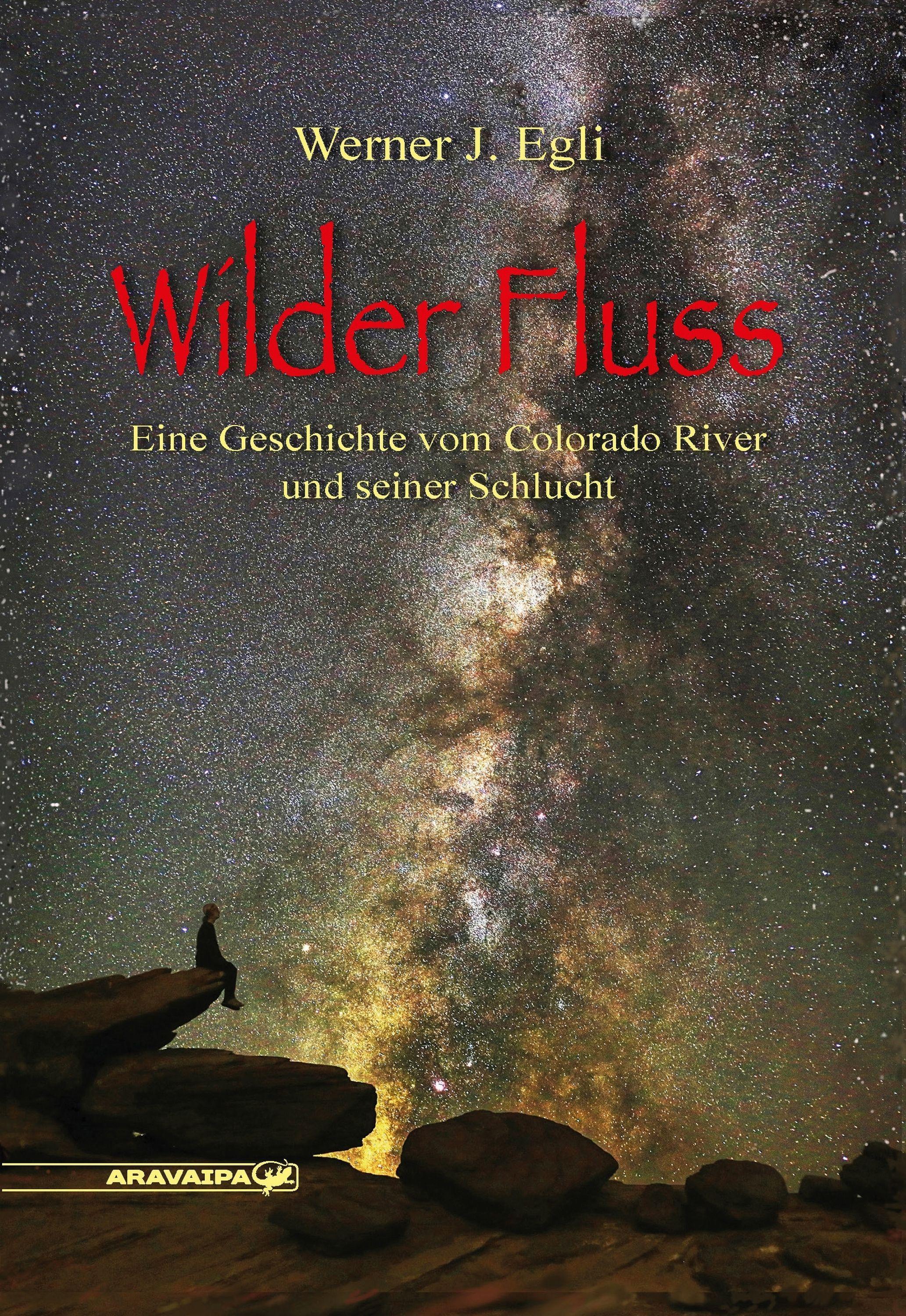 Vorderes Coverbild Wilder Fluss