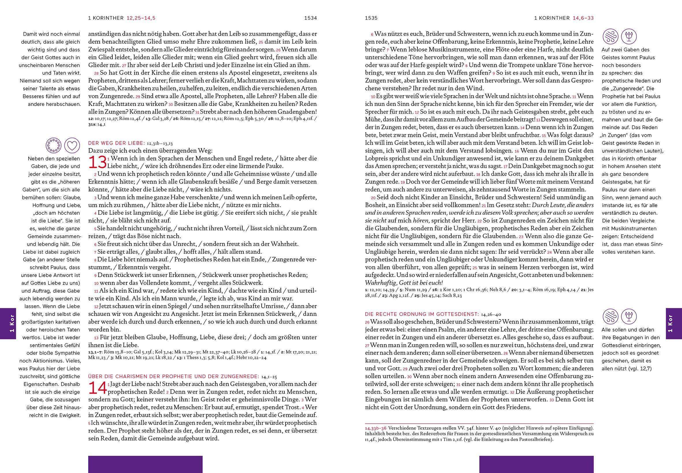 Beispielinhalt (Bild) Einblickbibel