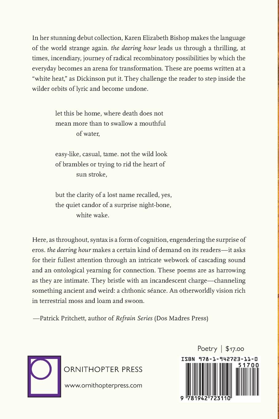 Rückseitencover the deering hour