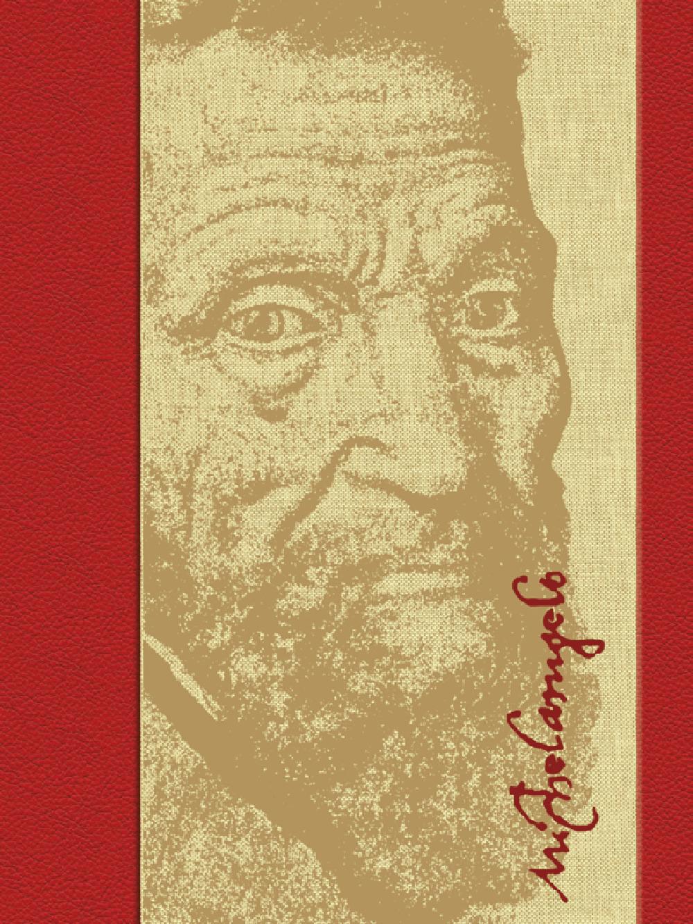 Vorderes Coverbild Michelangelo 500
