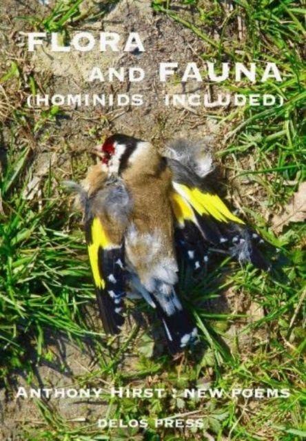 Vorderes Coverbild Flora and Fauna (Hominids Included)