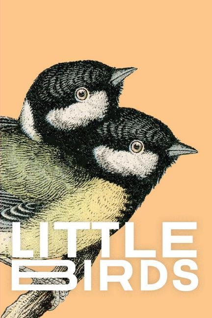 Vorderes Coverbild Little Birds