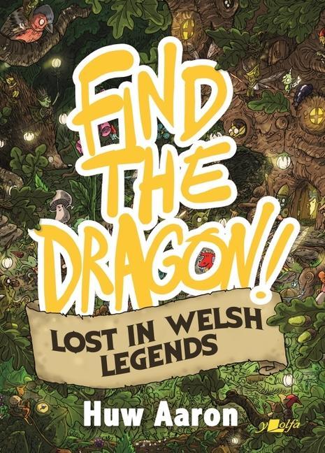 Vorderes Coverbild Find the Dragon!