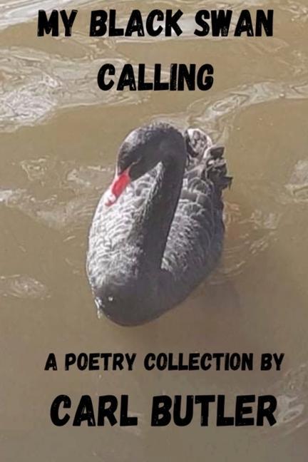 Vorderes Coverbild My Black Swan Calling