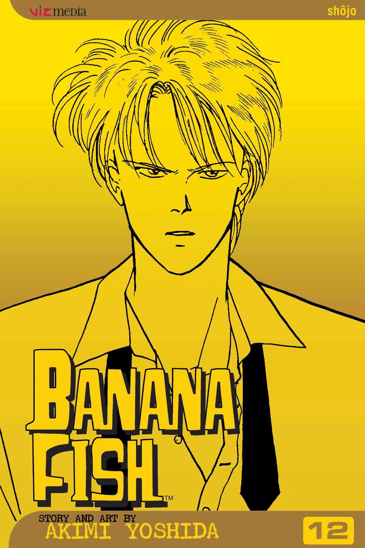 Vorderes Coverbild Banana Fish, Vol. 12