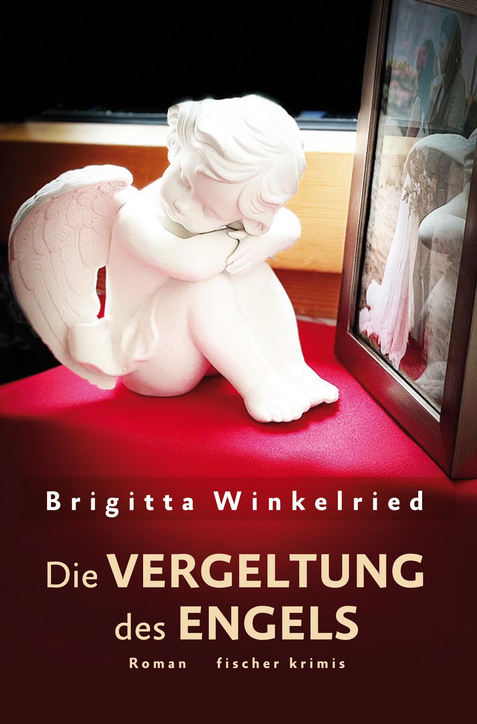 Vorderes Coverbild Die Vergeltung des Engels
