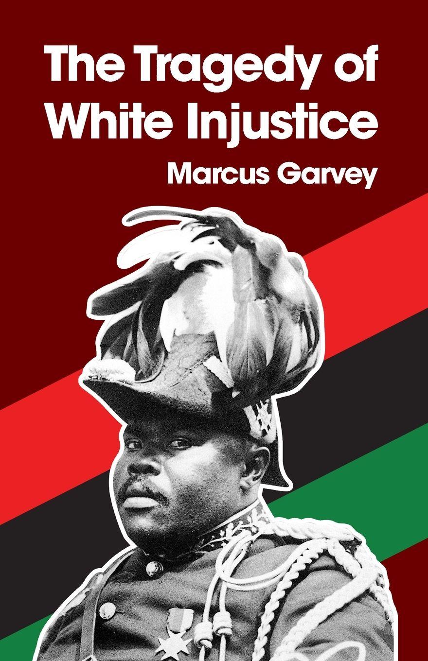 Vorderes Coverbild The Tragedy of White Injustice Paperback