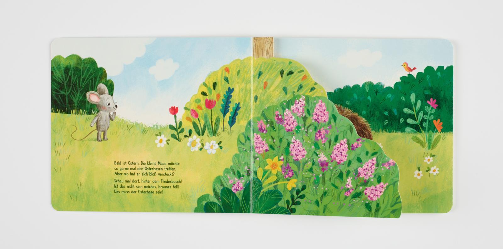 Beispielinhalt (Bild) Wo bist du, kleiner Osterhase?
