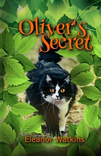Vorderes Coverbild Oliver's Secret