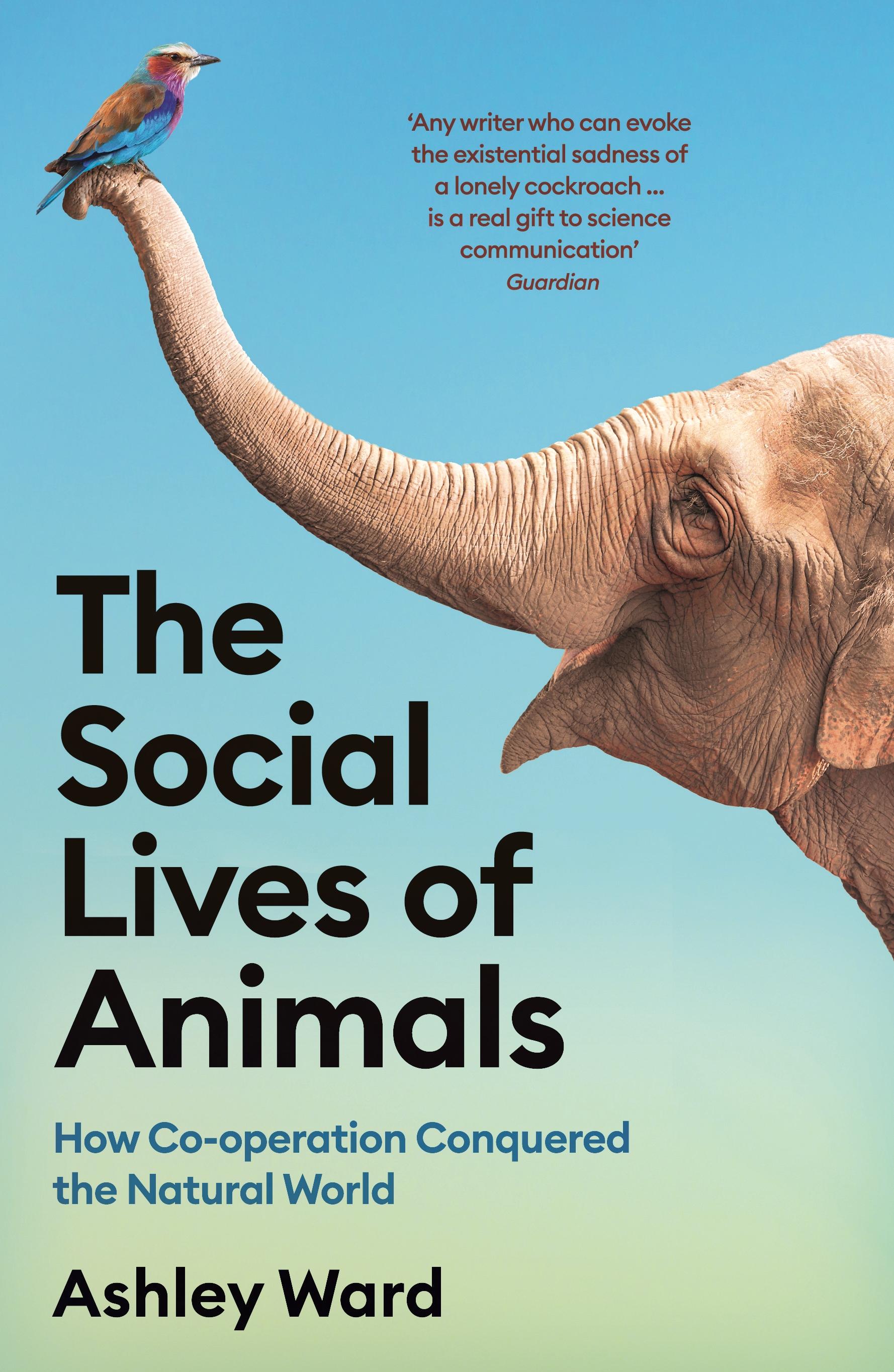 Vorderes Coverbild The Social Lives of Animals