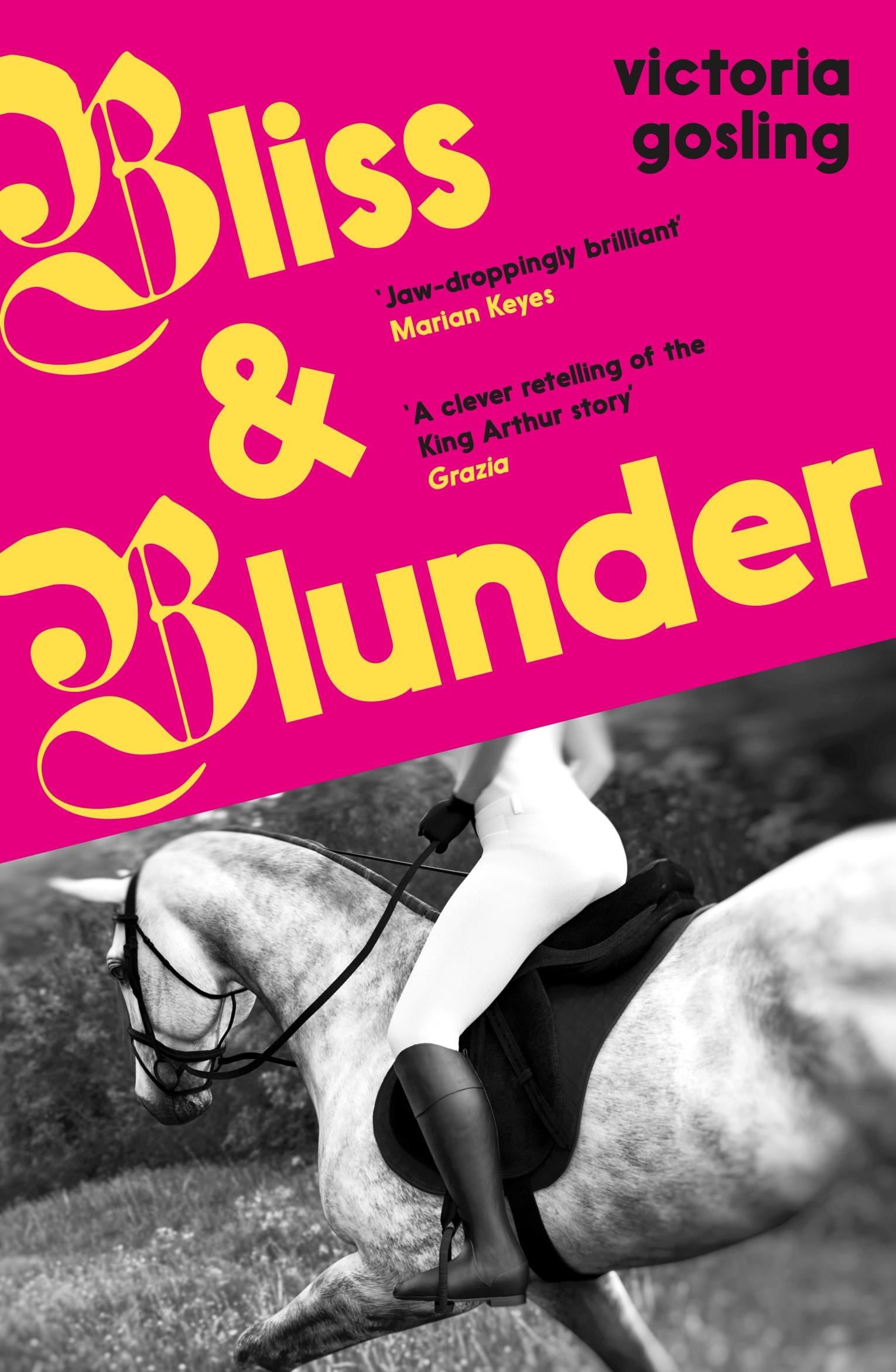 Vorderes Coverbild Bliss & Blunder