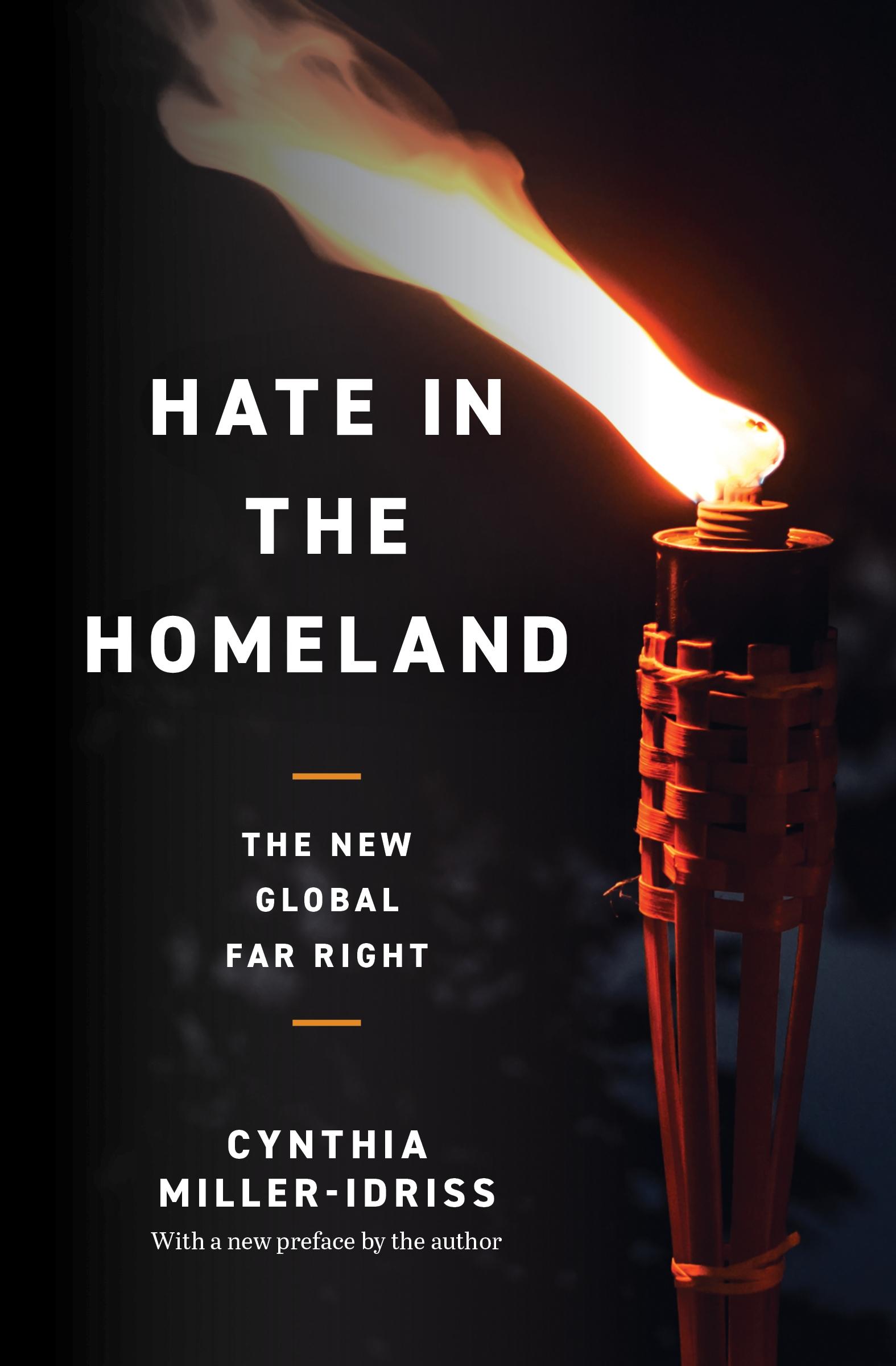 Vorderes Coverbild Hate in the Homeland