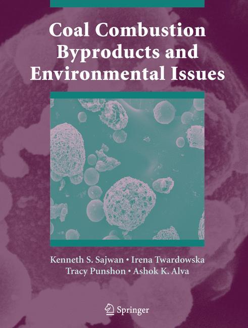 Vorderes Coverbild Coal Combustion Byproducts and Environmental Issues