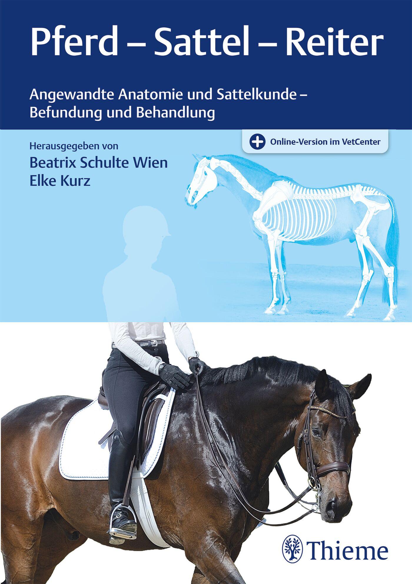 Vorderes Coverbild Pferd - Sattel - Reiter