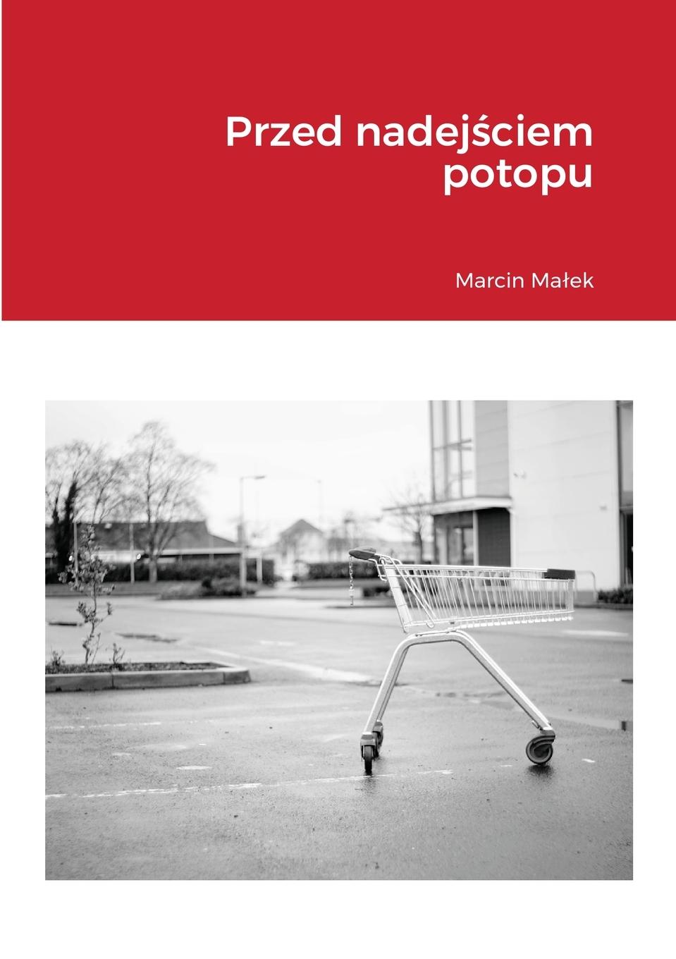 Vorderes Coverbild Przed nadej¿ciem potopu