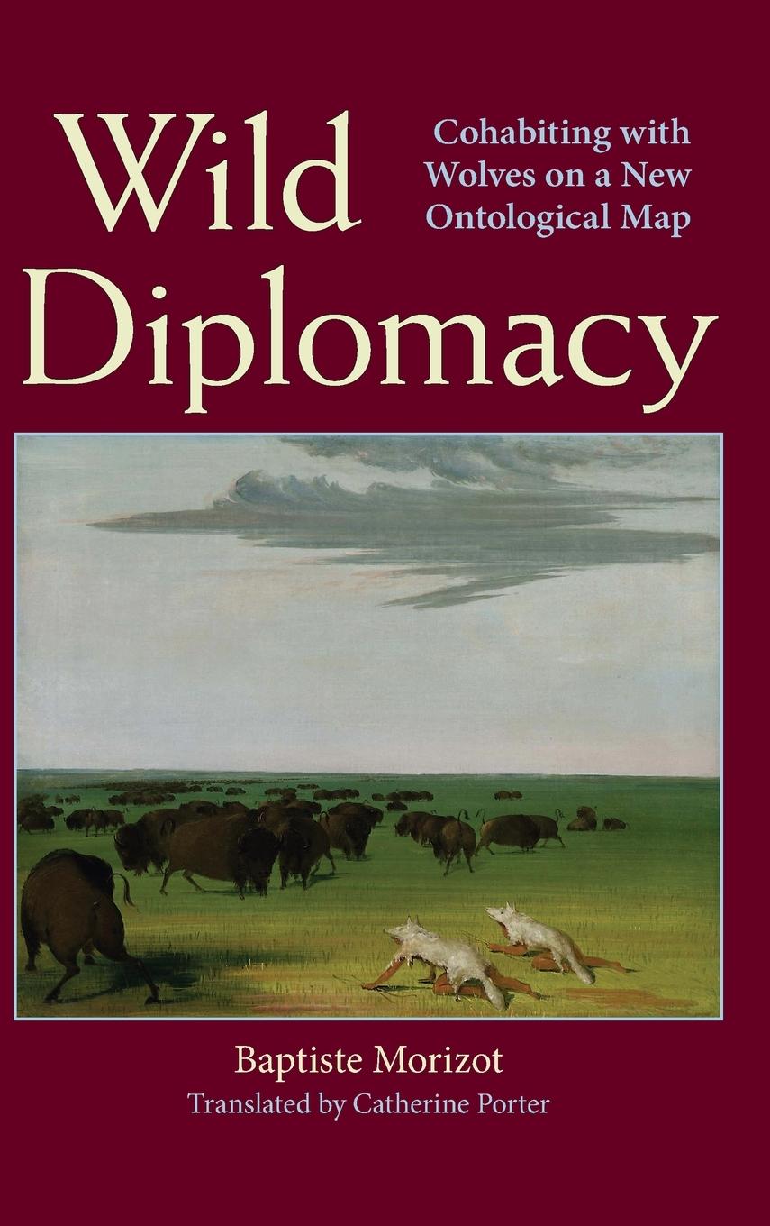 Vorderes Coverbild Wild Diplomacy