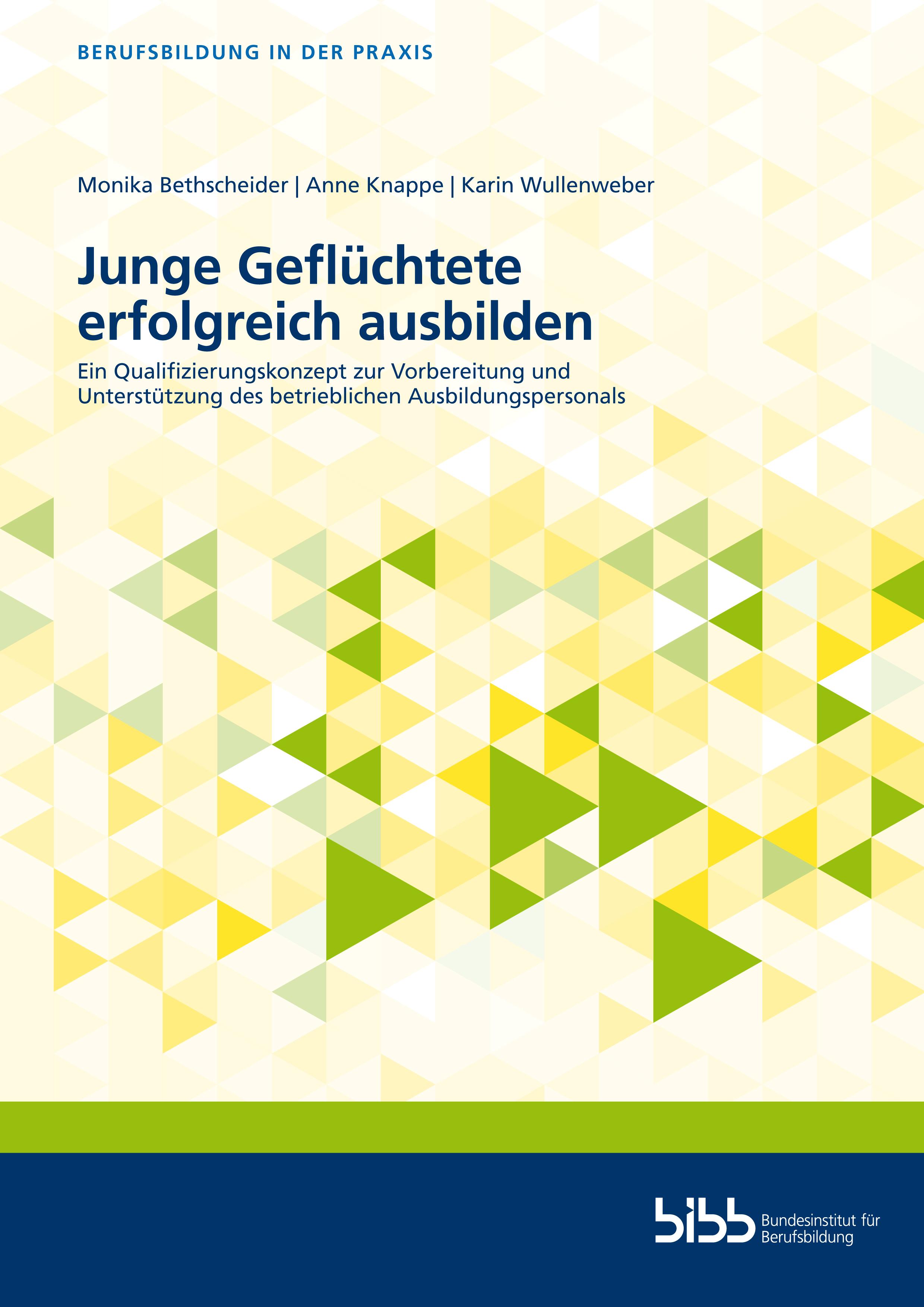 Vorderes Coverbild Junge Geflüchtete erfolgreich ausbilden