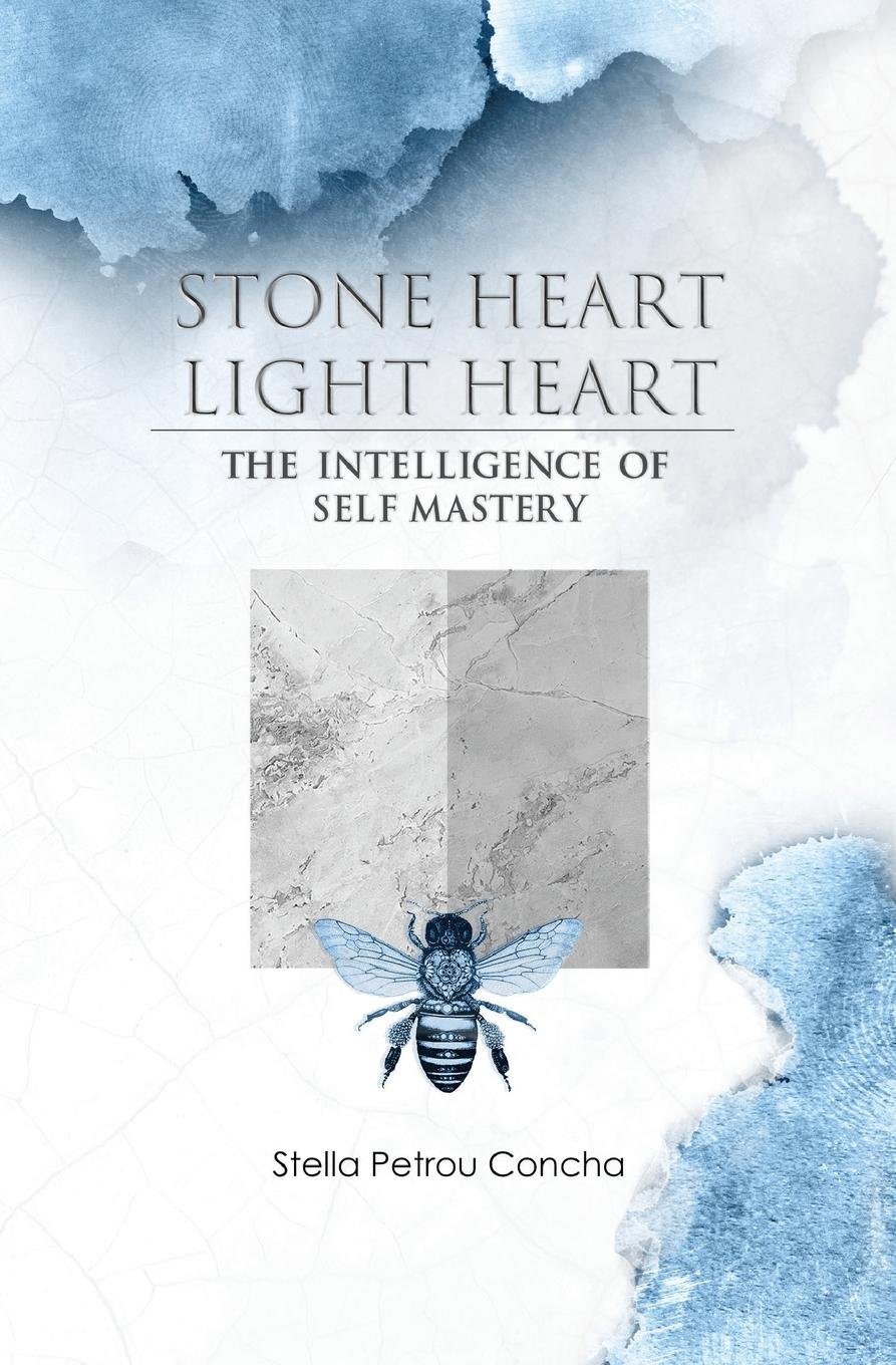 Vorderes Coverbild Stone Heart, Light Heart