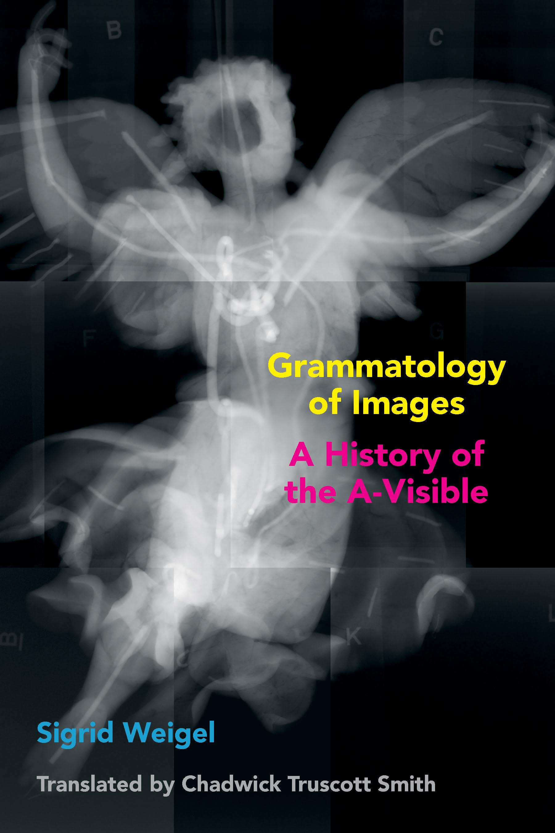 Vorderes Coverbild Grammatology of Images