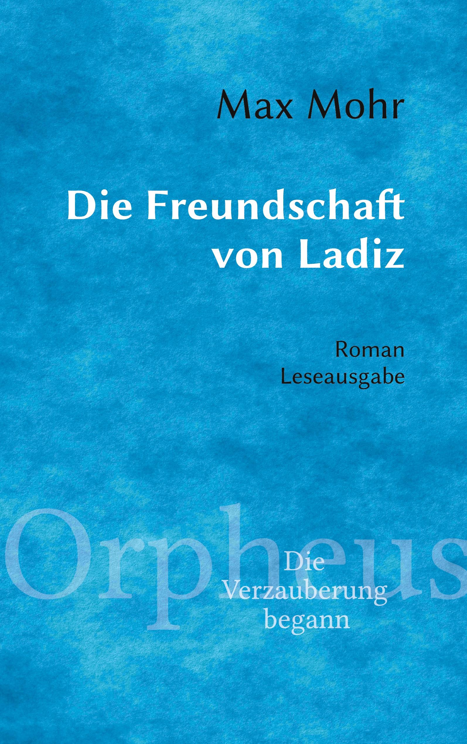 Vorderes Coverbild Die Freundschaft von Ladiz