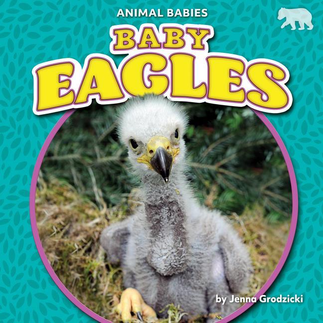 Vorderes Coverbild Baby Eagles