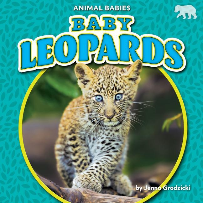 Vorderes Coverbild Baby Leopards