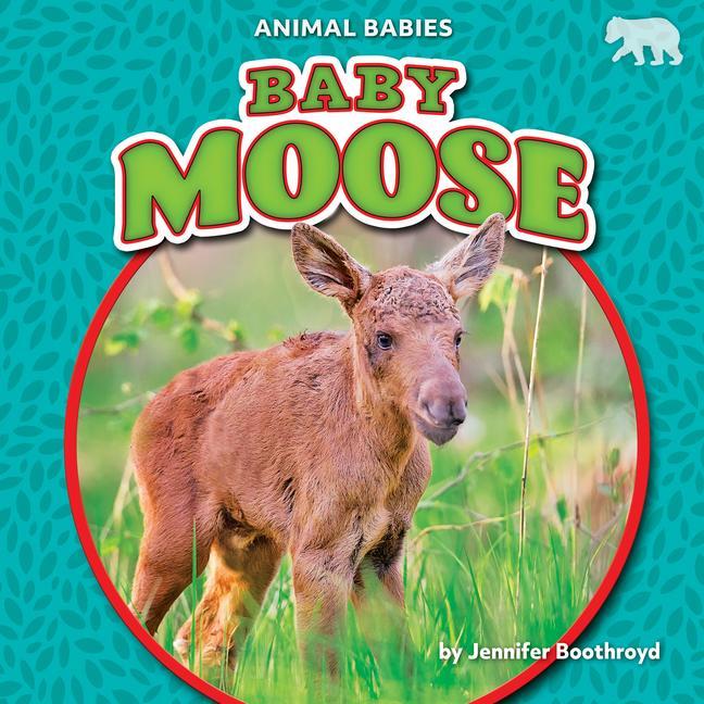 Vorderes Coverbild Baby Moose