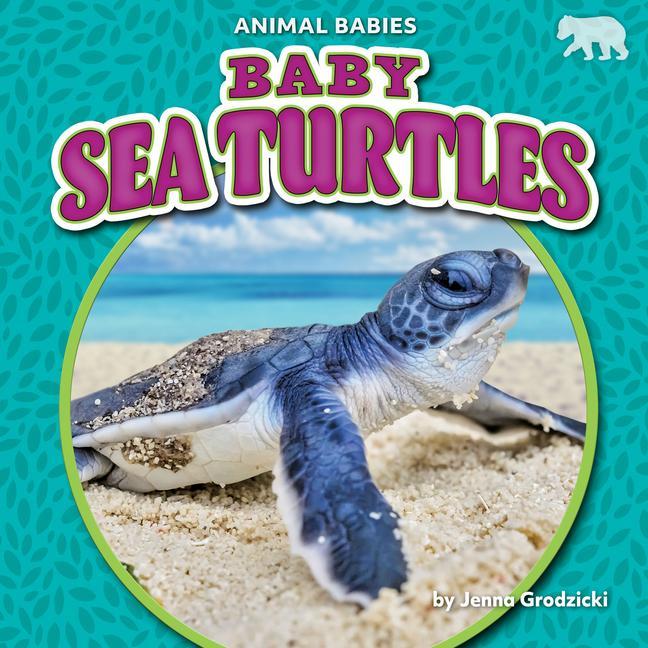 Vorderes Coverbild Baby Sea Turtles