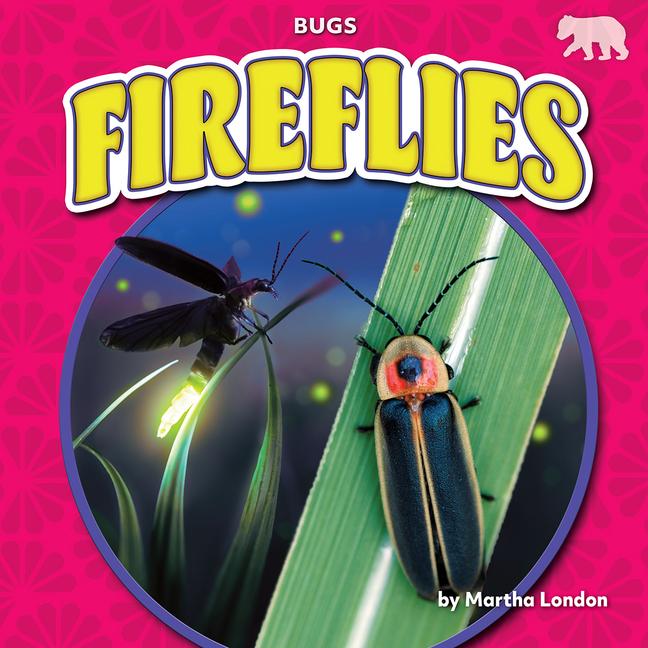 Vorderes Coverbild Fireflies