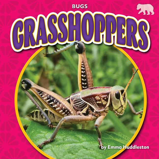 Vorderes Coverbild Grasshoppers