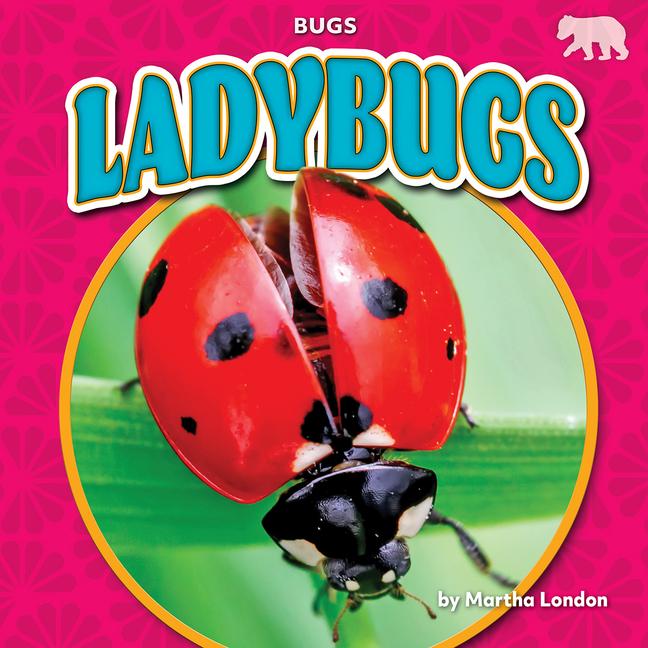 Vorderes Coverbild Ladybugs