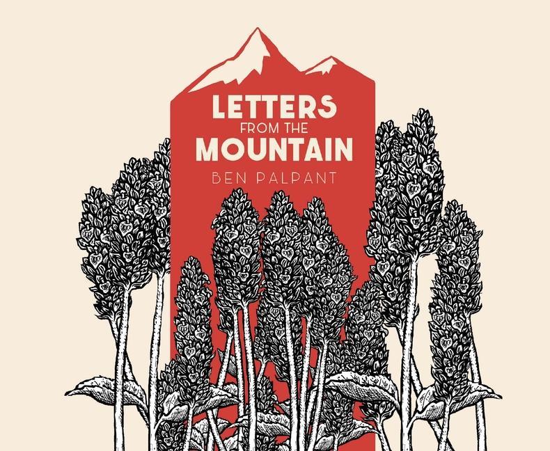 Vorderes Coverbild Letters from the Mountain