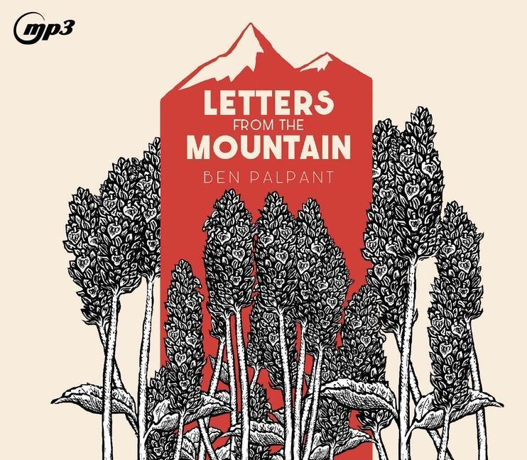 Vorderes Coverbild Letters from the Mountain