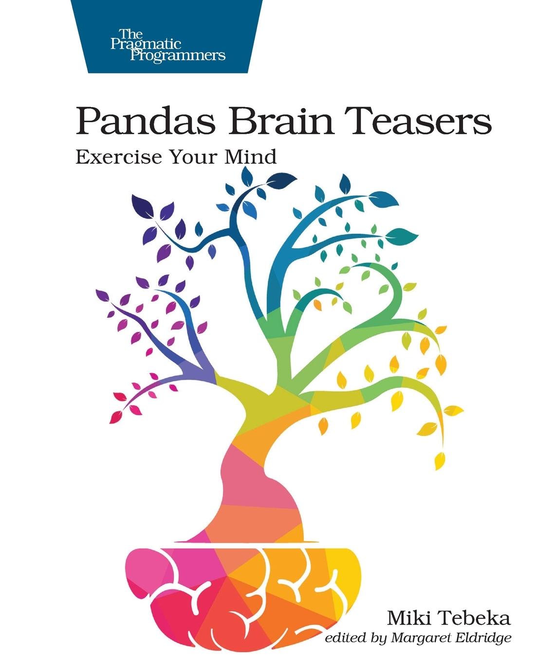 Vorderes Coverbild Pandas Brain Teasers