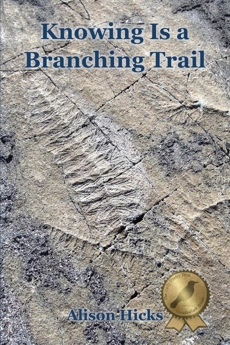 Vorderes Coverbild Knowing Is a Branching Trail
