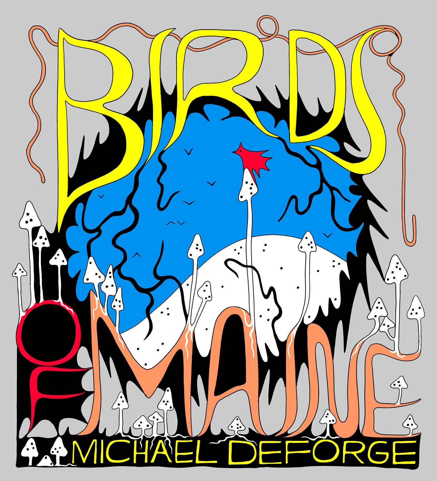 Vorderes Coverbild Birds of Maine