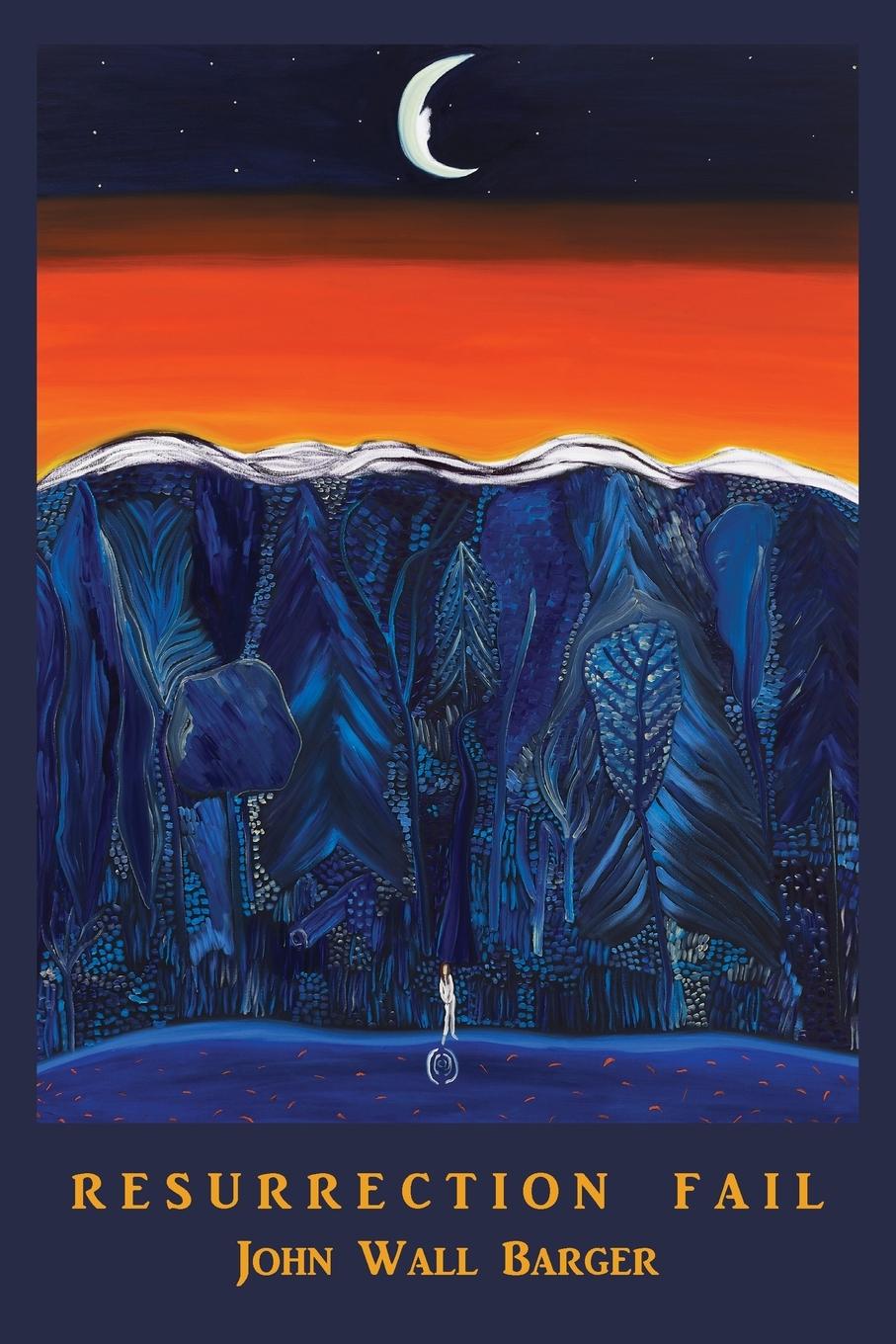 Vorderes Coverbild Resurrection Fail