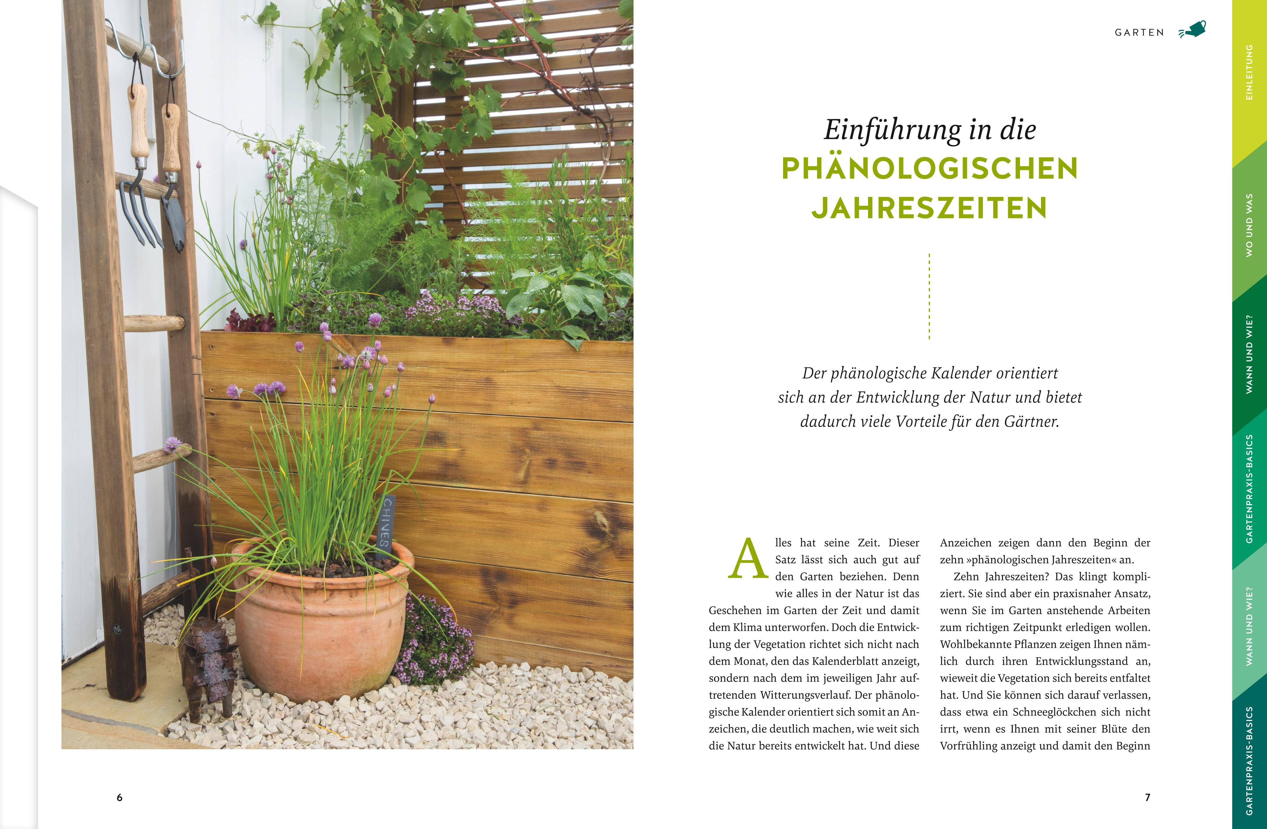 Beispielinhalt (Bild) Gärtnern für Gartenneulinge