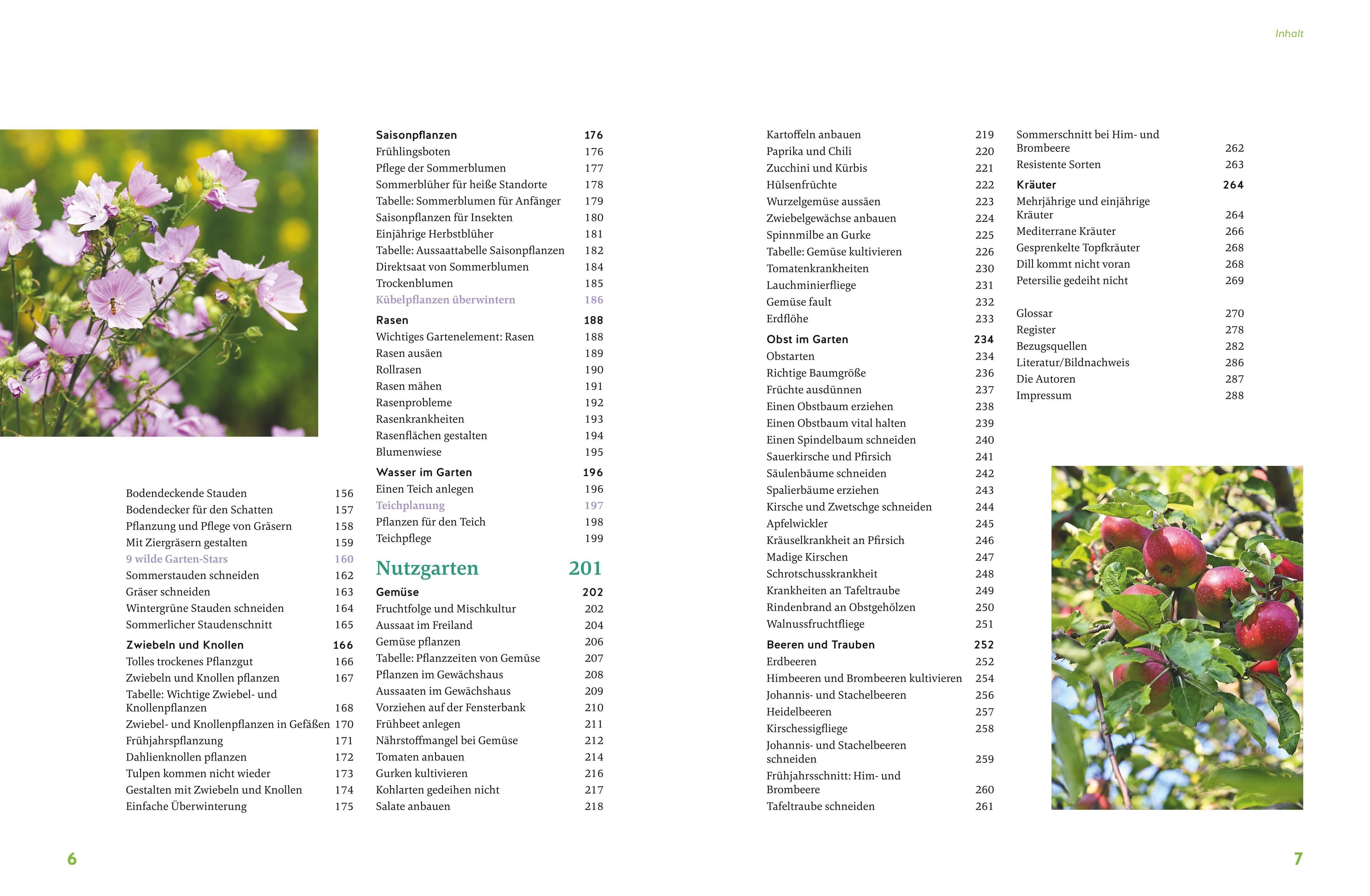 Beispielinhalt (Bild) Gärtnern für Gartenneulinge