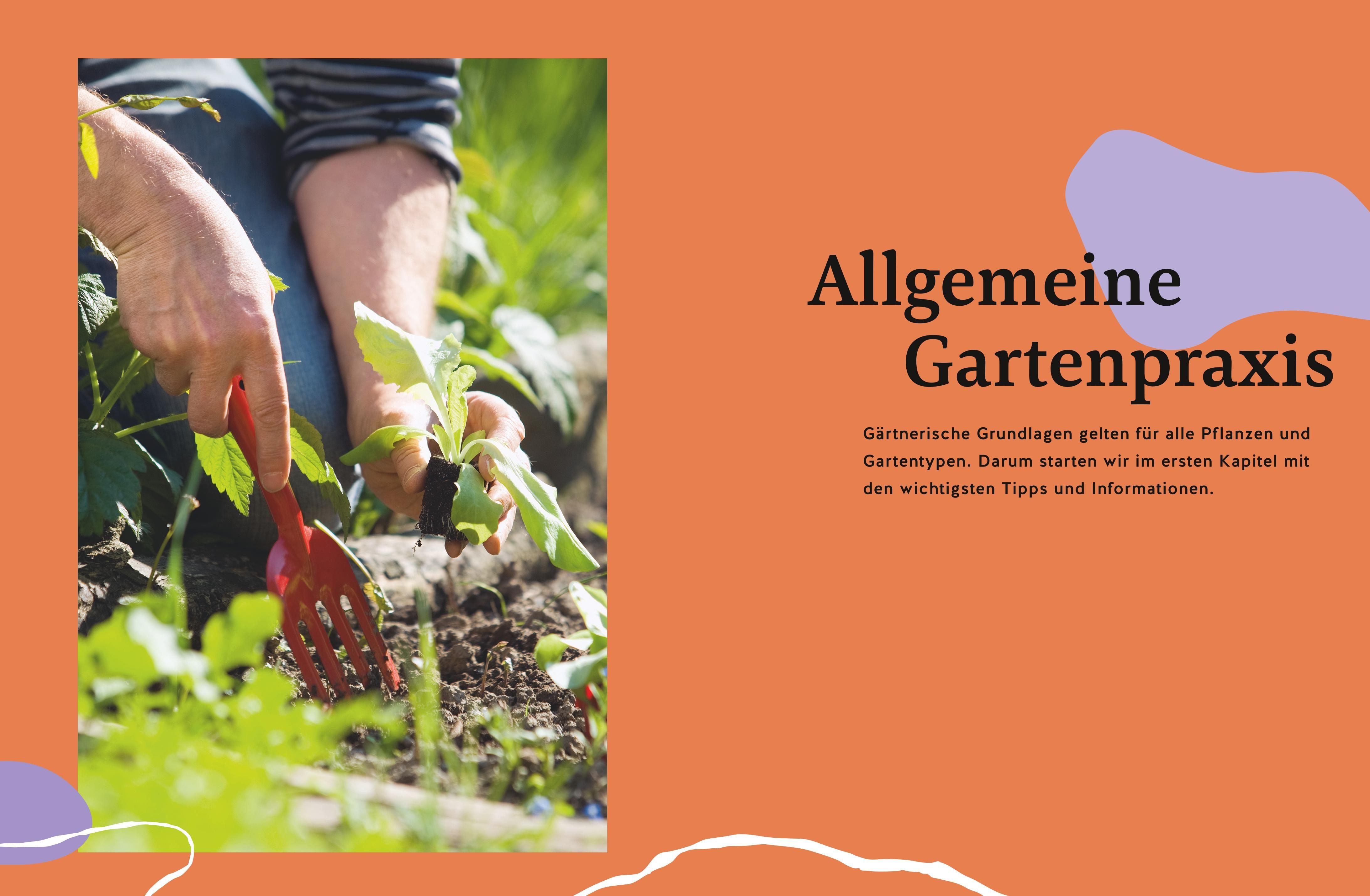 Beispielinhalt (Bild) Gärtnern für Gartenneulinge