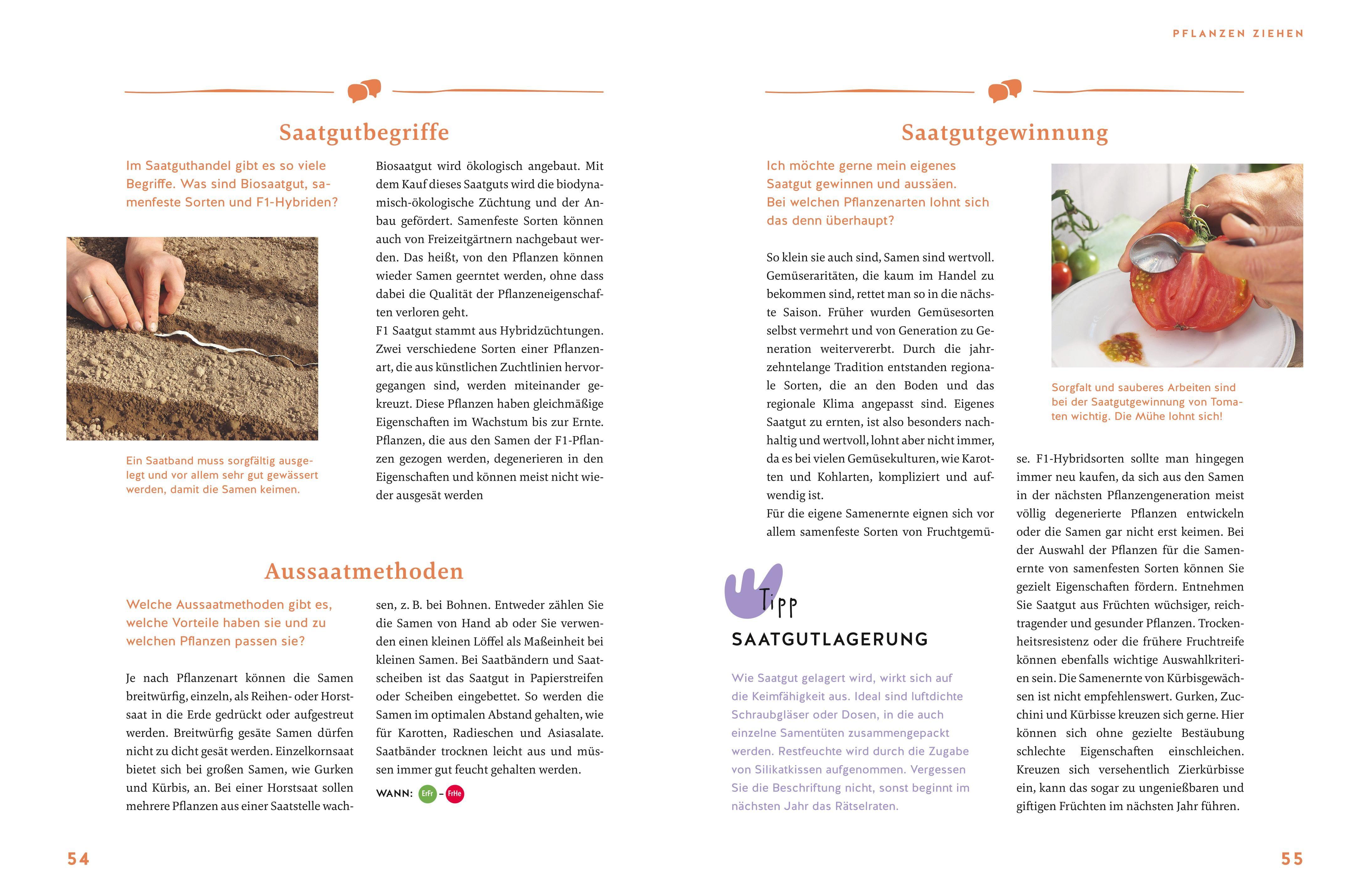 Beispielinhalt (Bild) Gärtnern für Gartenneulinge