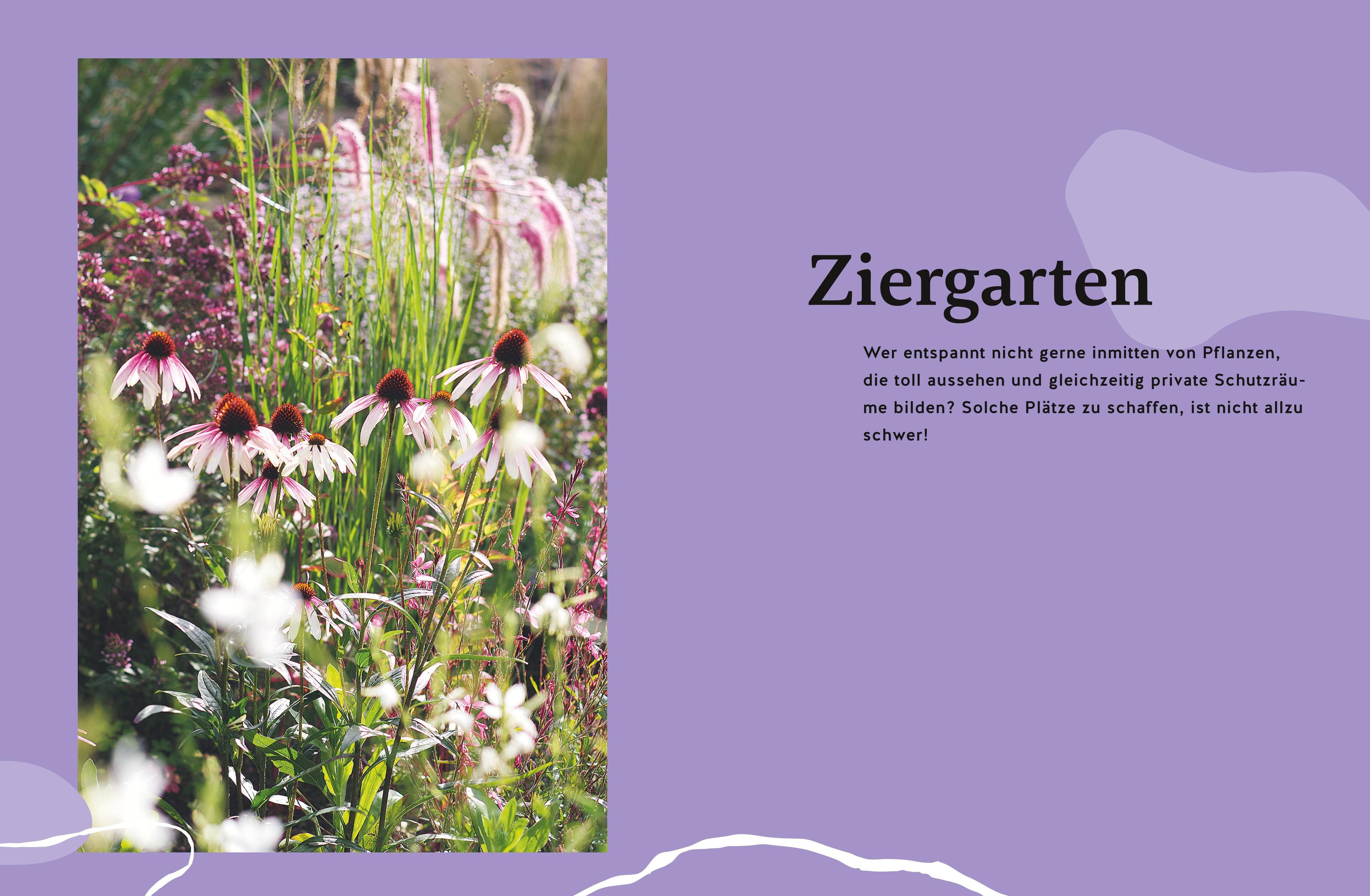 Beispielinhalt (Bild) Gärtnern für Gartenneulinge