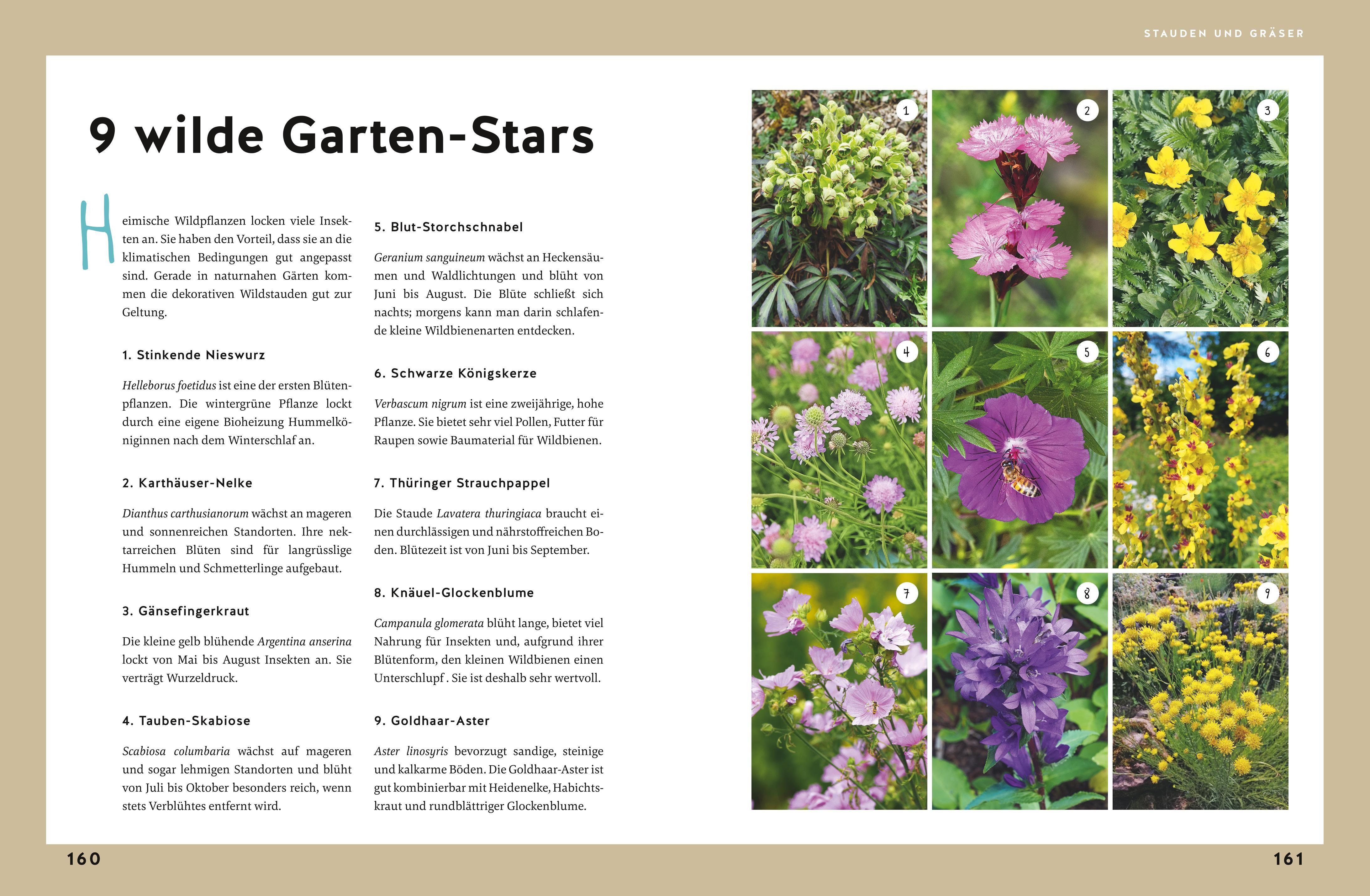 Beispielinhalt (Bild) Gärtnern für Gartenneulinge